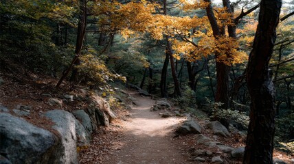 Mystical woodland pathway, cloaked in autumn's amber whispers, invites wanderers to Samhain introspection and Shinto forest reverie