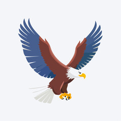 Obraz premium Soaring eagle vector illustration against white background for design elements