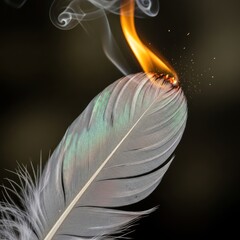 A single delicate white feather burning with a bright orange flame and smoke against a dark background.