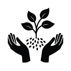 Gardening Hands Planting Seed White Background