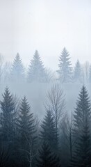 Obraz premium Foggy Winter Forest with Atmospheric Layers of Evergreen Trees Fading into Mist and Mysterious Light