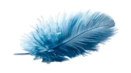 Delicate Blue Feather Soft Texture Close Up Isolated on White
