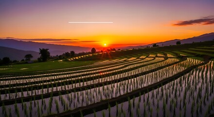 Fototapeta premium Vibrant Sunset over Terraced Rice Paddies in a Mountainous Landscape.