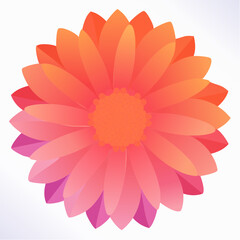 Vibrant vector illustration of a blooming flower with layered petals