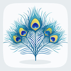 Vibrant vector illustration of peacock feathers isolated on white