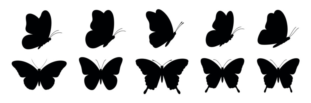 Flying Butterflies Silhouette. Various Flying Insect Silhouettes for Design and Art