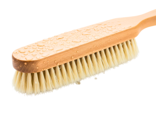 Wet wooden body brush with natural bristles for bath and spa on a transparent background