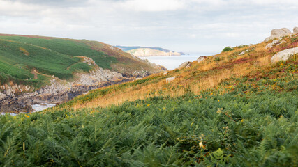 View of the cliffs around Pointe du Millier, in Finist&egrave;re, Brittany, France.