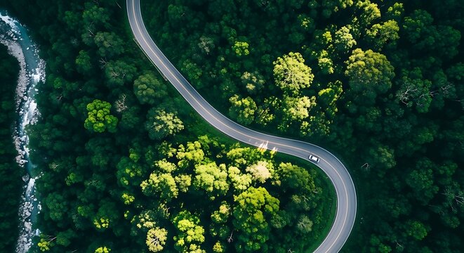 Aerial view of a winding road through a lush green forest with a river