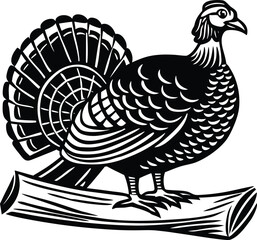 Solid black background for design and creative overlay projects