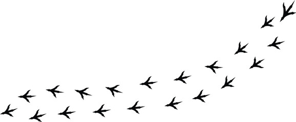silhouette bird paw print stock vector illustration
