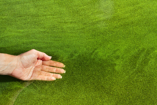 The woman dipped her hand into the water with blooming algae