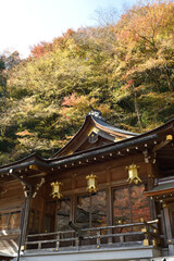 Fototapeta premium 貴船神社 本宮 拝殿(京都市左京区)