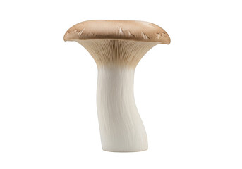 King oyster mushroom isolated on transparent background