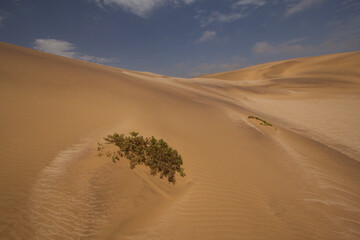dunes close to the namibian coast with granite sand 003

