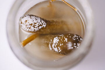 Pickled cucumbers showing signs of mold growth in jar
