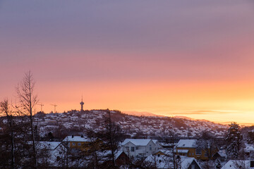 Sunrise through frost-covered trees in Scandinavian winter landscape