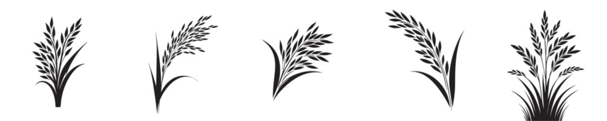 vector set of rice plant silhouettes