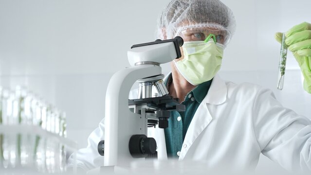 Adult male scientist wearing green protective gear looking at plant samples in test tubes and using a microscope in modern laboratory for botanical research. Medicine, healthcare and science concept