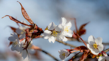 朝来市和田山町の風景