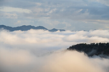 兵庫県朝来市の竹田城と雲海