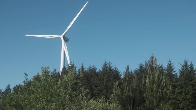 A renewable energy production with a wind turbine contrasting with the natural beauty of a forest and bright blue sky.