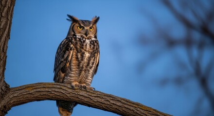 Majestic Great Horned Owl Perched on Branch at Twilight