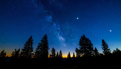 Milky Way over Forest