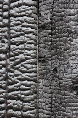 Fototapeta premium Charred background of textured black burnt wood surface