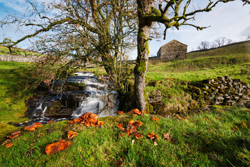Yorkshire Dales in Autumn.