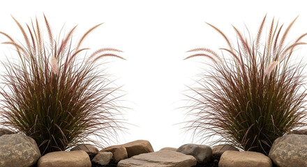 Two symmetrical clumps of reddish-brown fountain grass with feathery seed heads, emerging from a cluster of smooth brown rocks, isolated on transparent background.