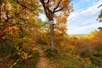 Point of view of the Arbonne Camp in Fontainebleau forest