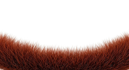 Curved border of dense, short reddish-brown grass or fur texture, isolated on transparent background.