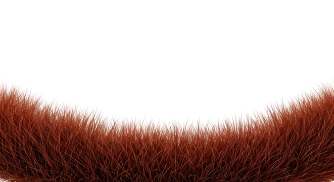 Curved border of dense, short reddish-brown grass or fur texture, isolated on transparent background.