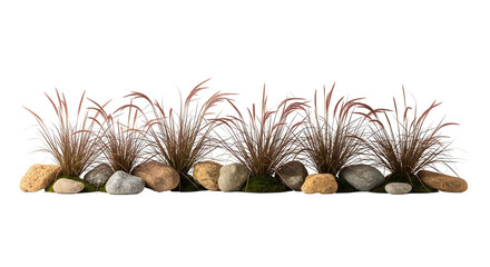 Row of red fountain grass clumps, river rocks, and moss, isolated on transparent background.
