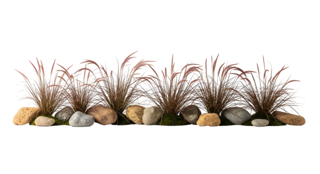 Row of red fountain grass clumps, river rocks, and moss, isolated on transparent background.