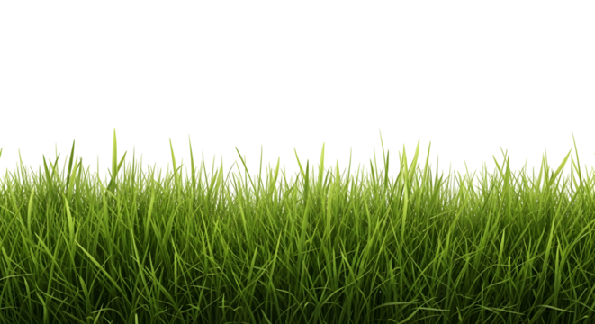 Horizontal border of vibrant, realistic green grass blades, isolated on transparent background. - Powered by Adobe