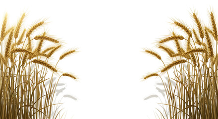 Symmetrical arrangement of stylized golden wheat or grain stalks on a border, isolated on transparent background.