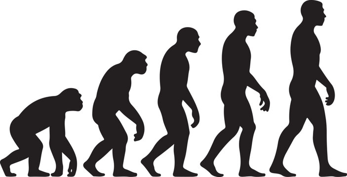 Theory of evolution of man silhouette