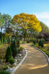 맑은 가을 숲속 길  풍경