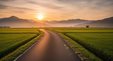 Fototapeta premium Winding road through rice fields to misty mountains at golden sunset