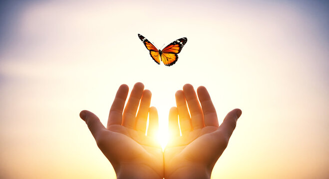 A monarch butterfly takes flight from open hands against a warm golden sunset sky symbolizing freedom and new beginnings