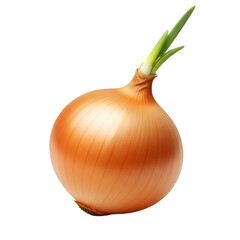 A Single Yellow Onion with Green Sprouts on Black Background