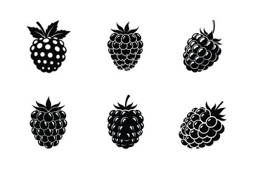 Six black berry silhouettes isolated on white background in different shapes