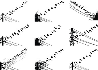 Birds flying across power lines in urban silhouette style, black and white vector art showing motion, contrast, and structure