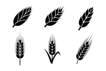 Obraz premium Grain icon silhouette vector illustration design