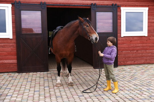 Equine assisted therapy. Little boy with beautiful horse near stable. Lovely domesticated pet - Powered by Adobe