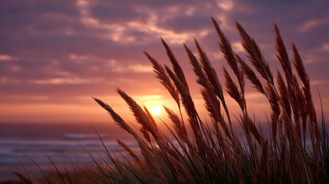 Wind swept dune grasses silhouetted against a vibrant purple and orange sunset over the ocean