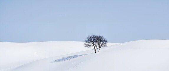 snow covered branches