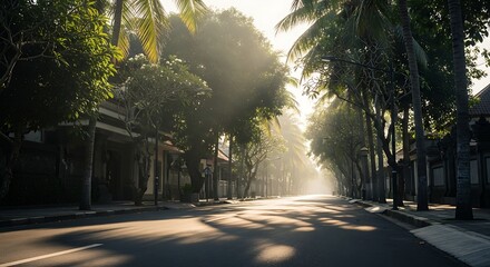 Sun-Kissed Serenity - A Tropical Roadway Bathed in Morning Light.